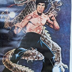 Vintage Bruce Lee poster